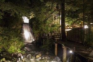 oynimmofalls